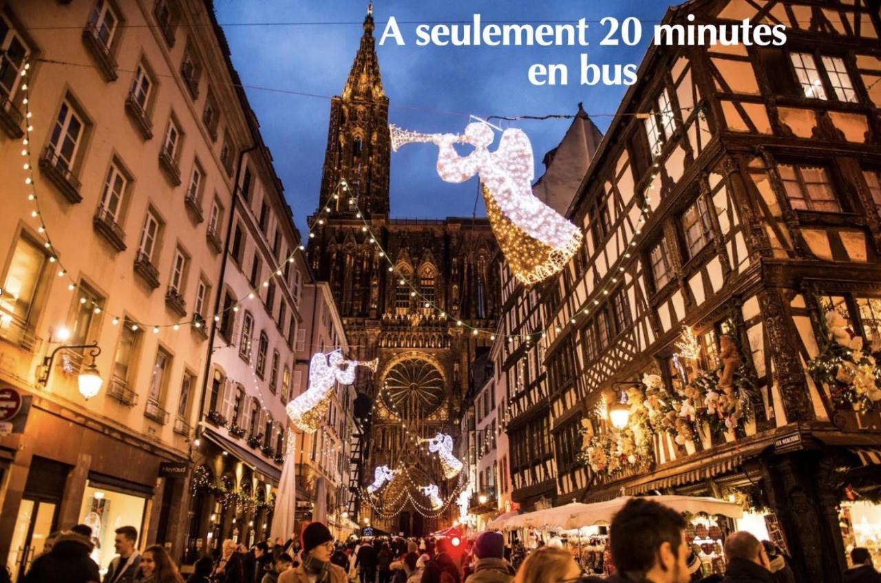 Appartement Rooftop - 5 Min Centre Ville Strasbourg シルティグアイム エクステリア 写真